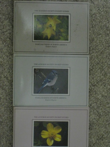 The Audubon Society Pocket Guides: Eastern Region/Slip Case