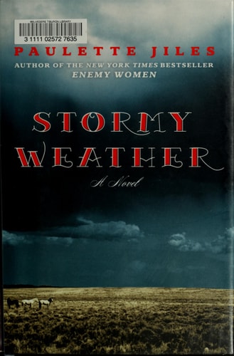 Stormy Weather A Novel