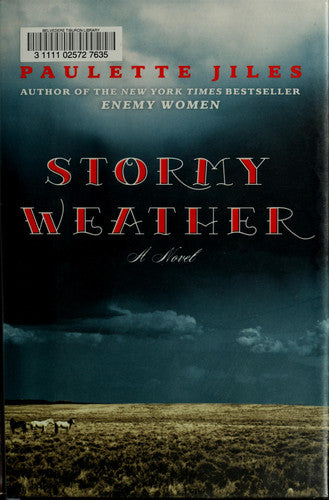 Stormy Weather A Novel