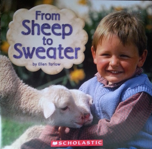 From Sheep to Sweater