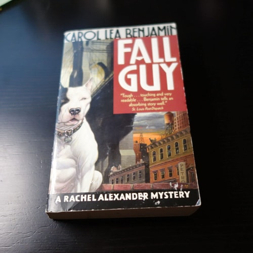 Fall Guy: A Rachel Alexander Mystery