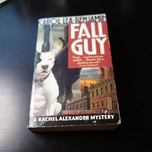 Fall Guy: A Rachel Alexander Mystery