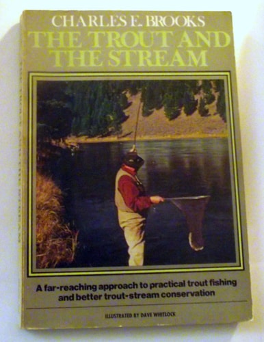 Trout and the Stream
