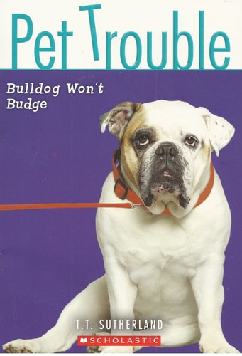 Bulldog Won't Budge