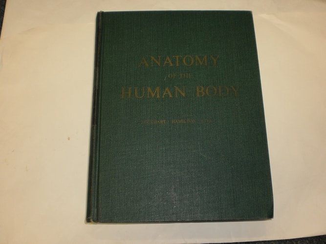 Anatomy of the Human Body