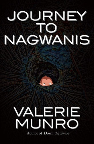 Journey to Nagwanis