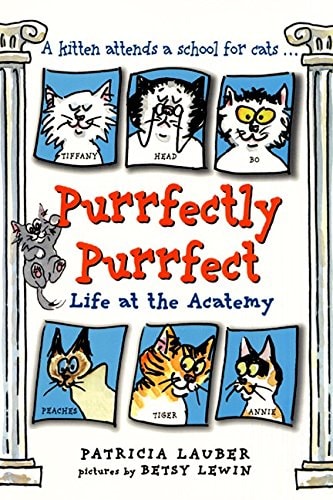 Purrfectly Purrfect: Life at the Acatemy