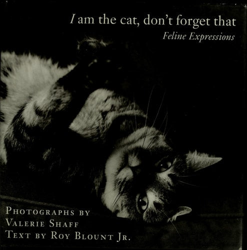 I Am the Cat, Don't Forget That: Feline Expressions