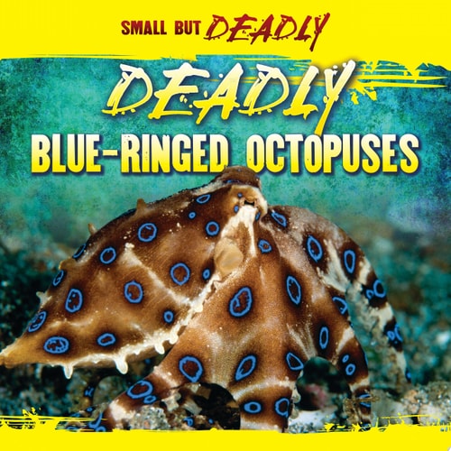 Deadly Blue-Ringed Octopuses (Small but Deadly)