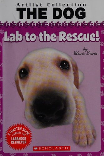 Lab to the Rescue (Artlist Collection: The Dog)