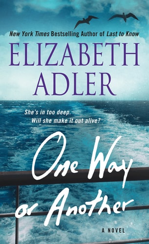 One Way or Another: A Novel