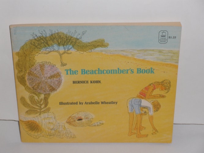The Beachcomber's Book (Viking Seafarer Books)