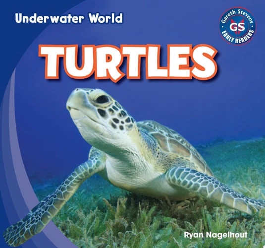 Turtles (Underwater World)