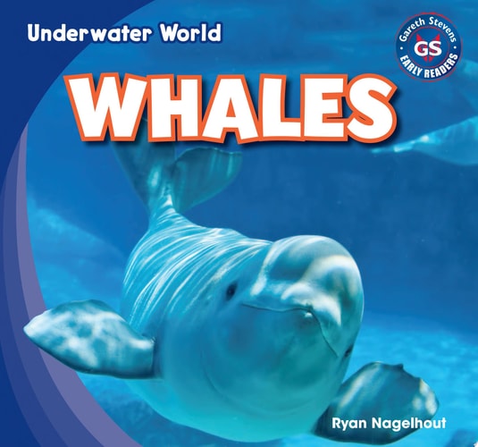 Whales (Underwater World)