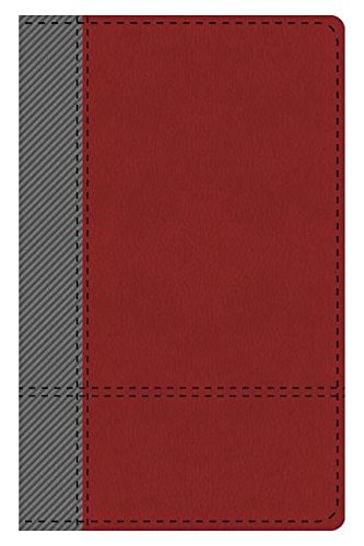 The KJV Study Bible Student Edition--Indexed (Gray/Maroon) (King James Bible)