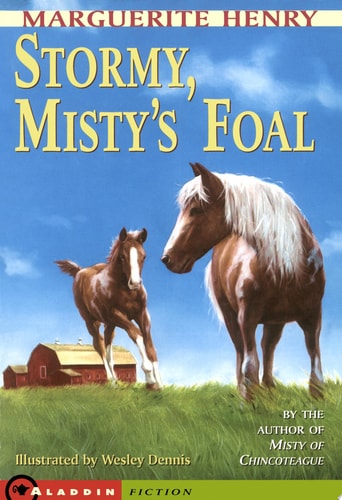 Stormy, Misty's Foal