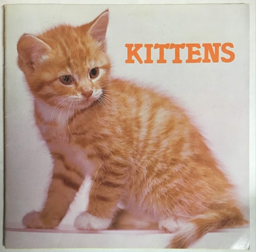 Kittens