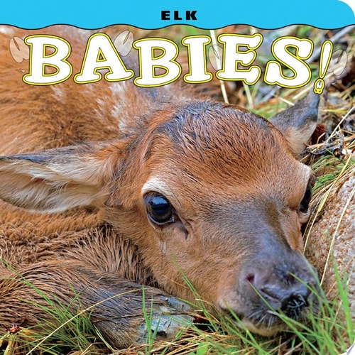 Elk Babies! (Babies! (Farcountry Press))