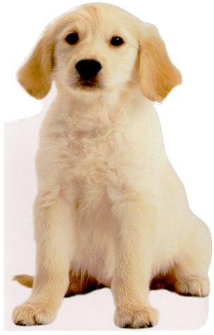 Jumbo Animal Shaped Board Book: Puppy