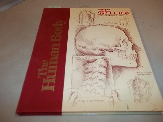 The skeleton: Fantastic framework (The Human body)