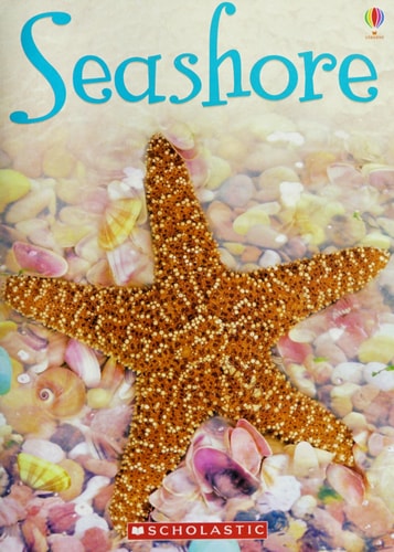 Seashore (Usborne Beginners)