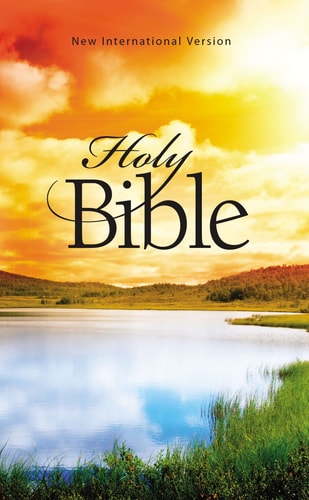 NIV, Outreach Bible, Paperback