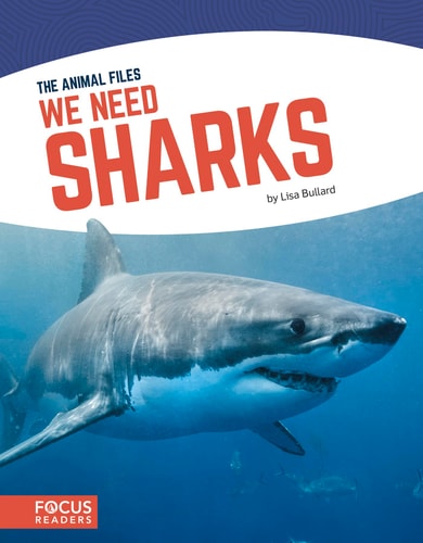 We Need Sharks (The Animal Files (Set of 8))