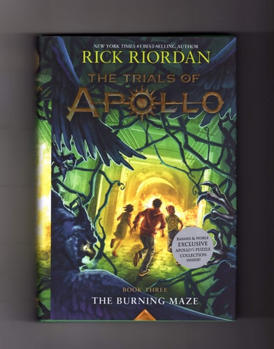 The Burning Maze
