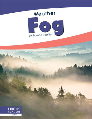 Fog (Weather)