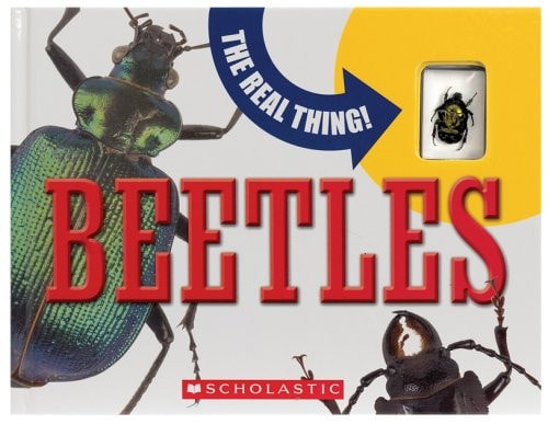 Beetles