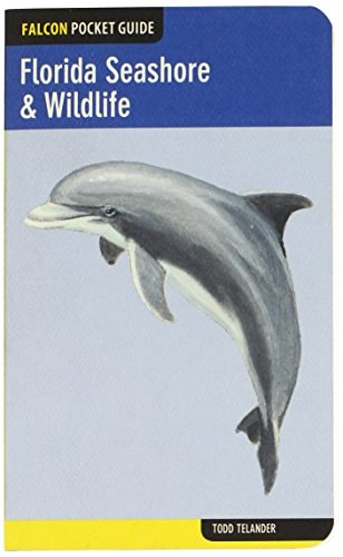 Florida Seashore & Wildlife (Falcon Pocket Guides)