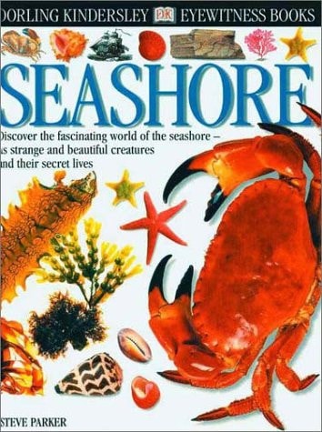 Eyewitness: Seashore