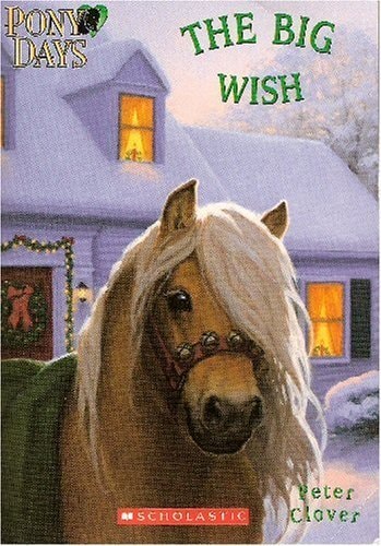 The Big Wish