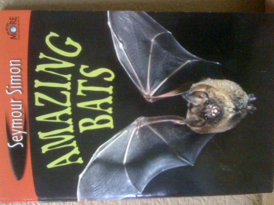 Amazing Bats