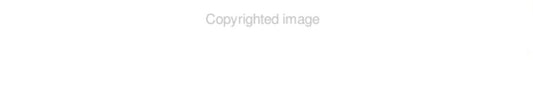 The Zoo Crew