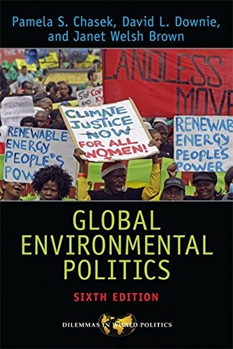 Global Environmental Politics (Dilemmas in World Politics)
