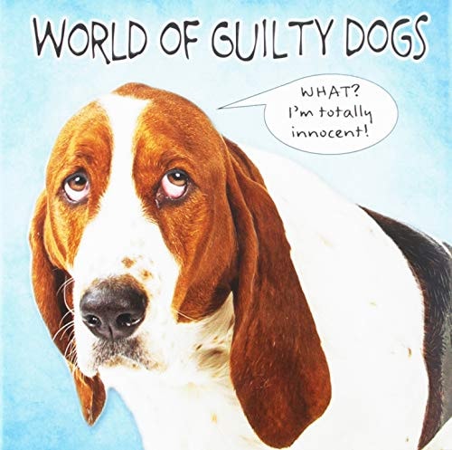 World of Guilty Dogs