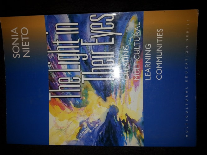 The Light in Their Eyes: Creating Multicultural Learning Communities (Multicultural Education Series)