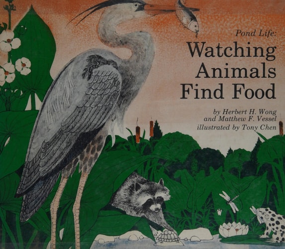Pond Life: Watching Animals Find Food,
