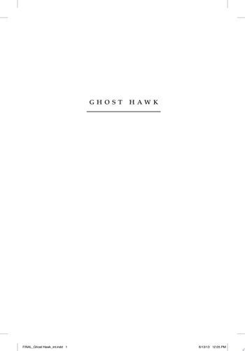 Ghost Hawk