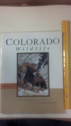 Colorado Wildlife