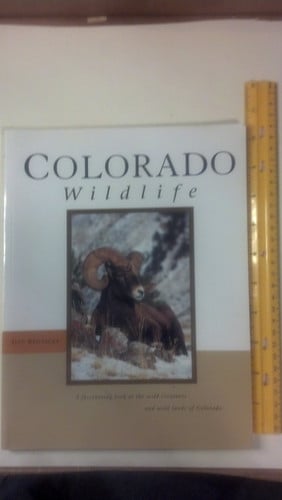 Colorado Wildlife