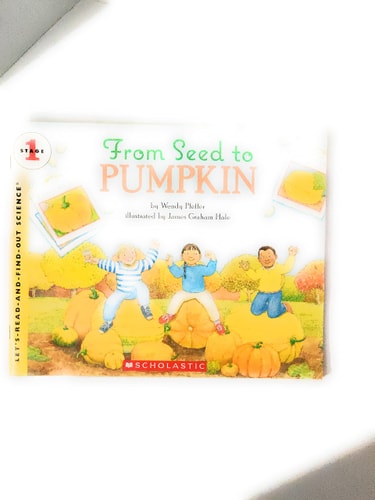 From Seed to Pumpkin