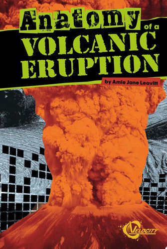 Anatomy of a Volcanic Eruption