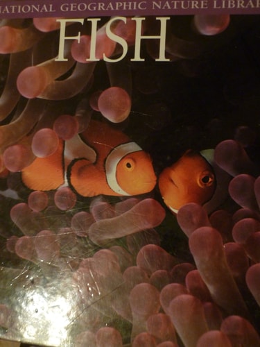 Fish (National Geographic Nature Library)