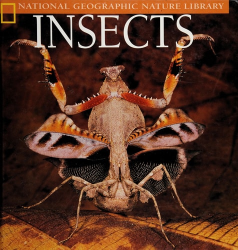 Insects