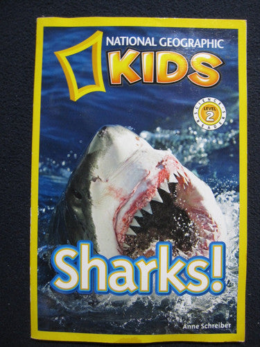 Sharks!
