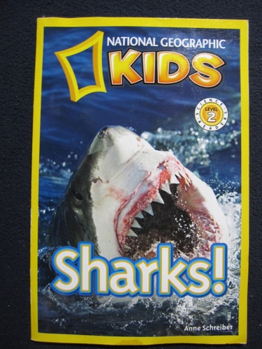 Sharks!