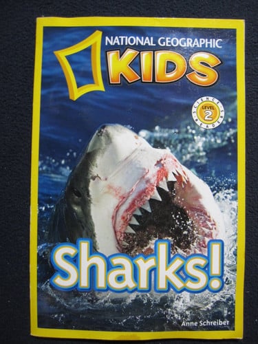 Sharks!