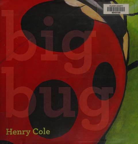 Big Bug